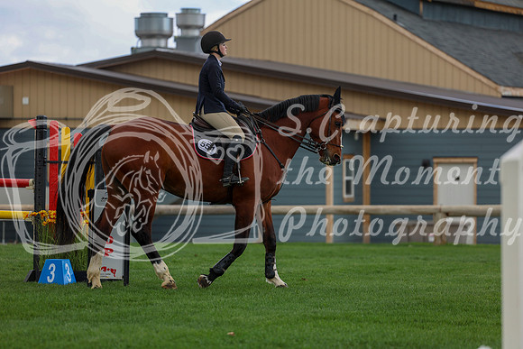 2026 - Shea - Bow Valley II - Friday May 15th - 10150