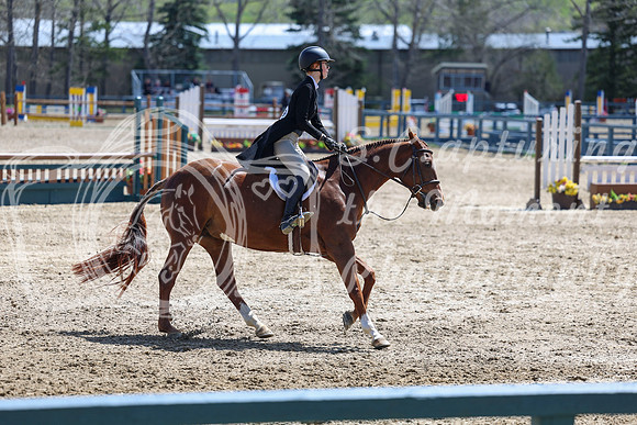 2026 - Shea - Bow Valley II - Friday May 15th - 07411
