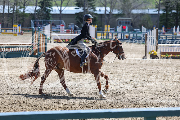 2026 - Shea - Bow Valley II - Friday May 15th - 07412