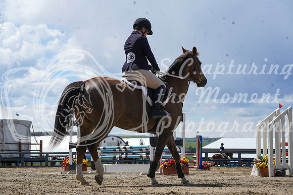2026 - Alina - Bow Valley II - Friday May 15th - 11666