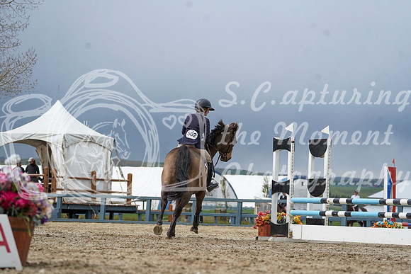 2026 - Alina - Bow Valley II - Friday May 15th - 05211