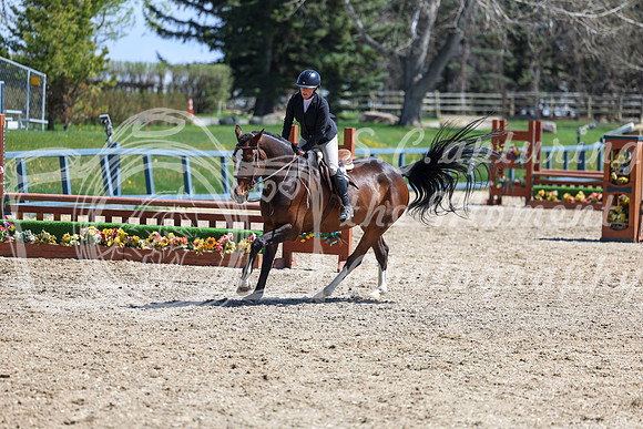 2026 - Shea - Bow Valley II - Friday May 15th - 07953
