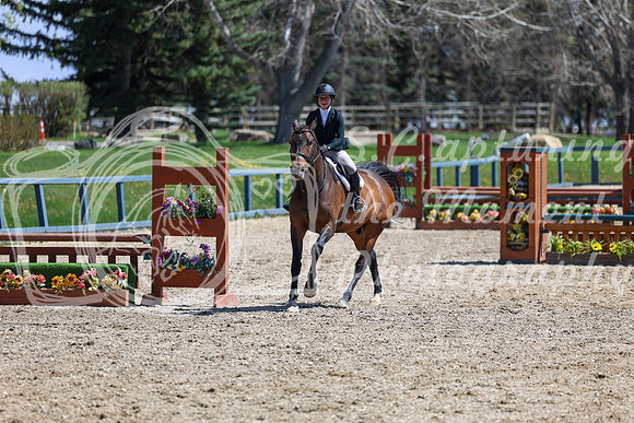 2026 - Shea - Bow Valley II - Friday May 15th - 07825