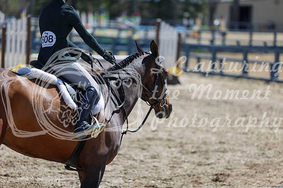 2026 - Shea - Bow Valley II - Friday May 15th - 07832