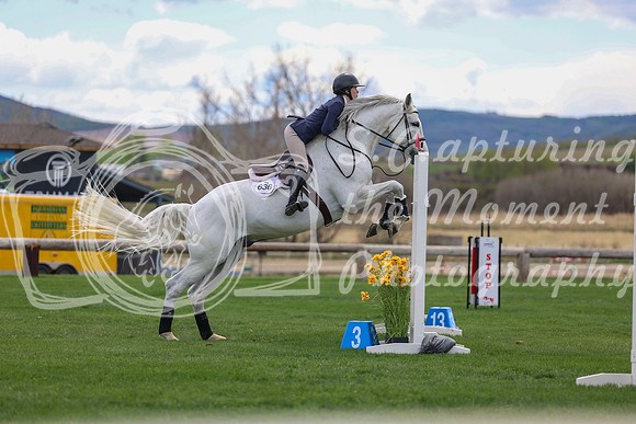 2026 - Shea - Bow Valley II - Friday May 15th - 09617