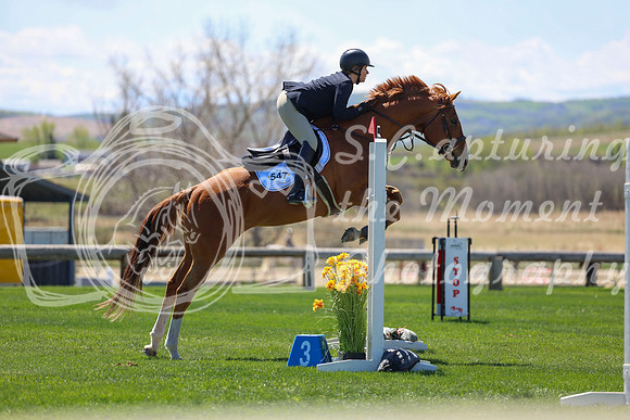 2026 - Shea - Bow Valley II - Friday May 15th - 08345