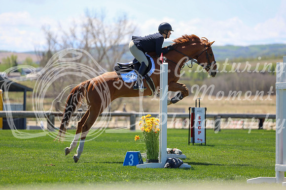 2026 - Shea - Bow Valley II - Friday May 15th - 08346