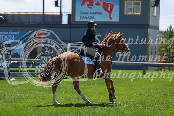 2026 - Shea - Bow Valley II - Friday May 15th - 08366