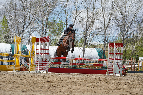 2026 - Alina - Bow Valley II - Friday May 15th - 11799