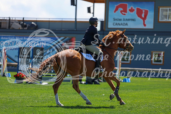 2026 - Shea - Bow Valley II - Friday May 15th - 08510
