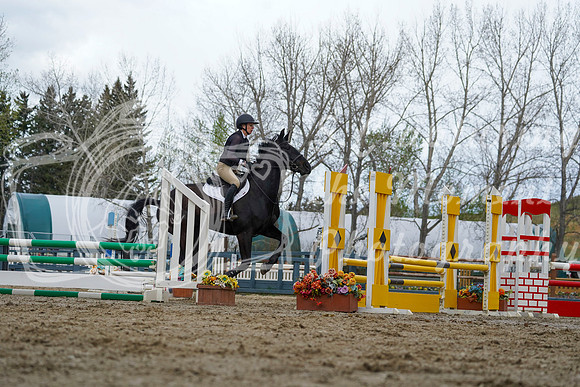 2026 - Alina - Bow Valley II - Friday May 15th - 05290