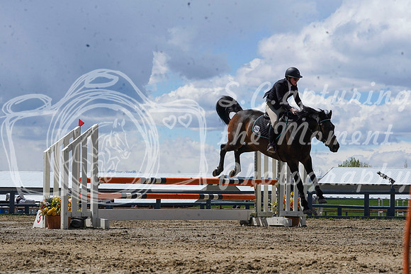 2026 - Alina - Bow Valley II - Friday May 15th - 11639