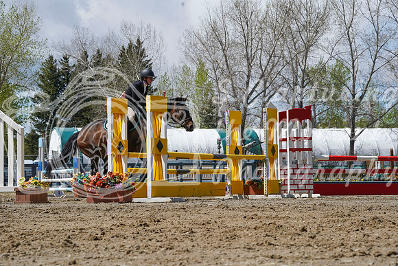 2026 - Alina - Bow Valley II - Friday May 15th - 11650