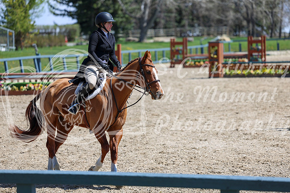 2026 - Shea - Bow Valley II - Friday May 15th - 08037