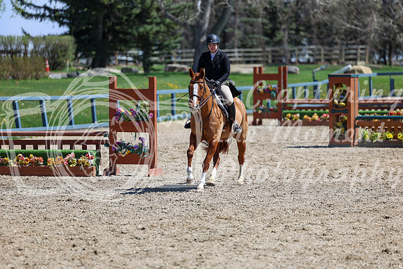 2026 - Shea - Bow Valley II - Friday May 15th - 08035