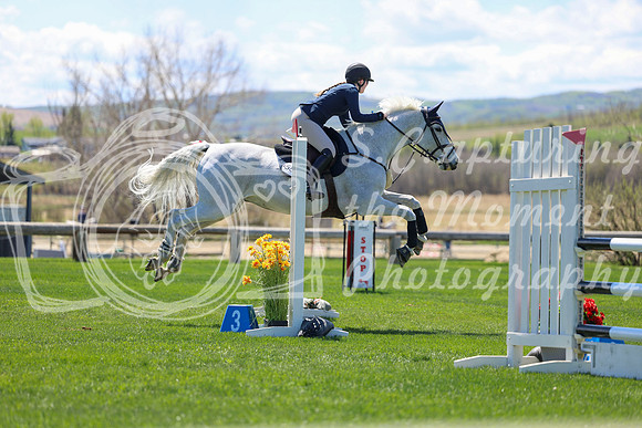 2026 - Shea - Bow Valley II - Friday May 15th - 08733