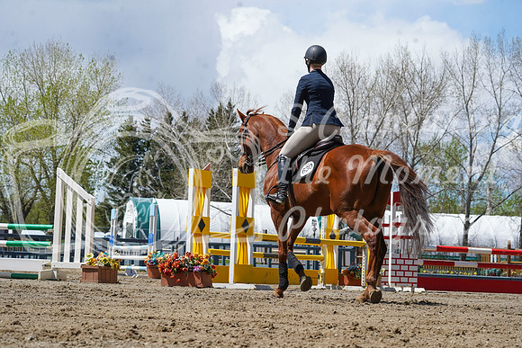 2026 - Alina - Bow Valley II - Friday May 15th - 11501