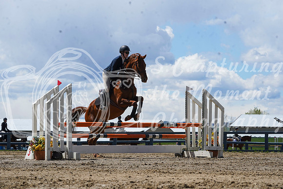 2026 - Alina - Bow Valley II - Friday May 15th - 11522