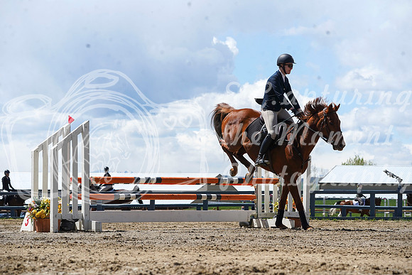 2026 - Alina - Bow Valley II - Friday May 15th - 11527