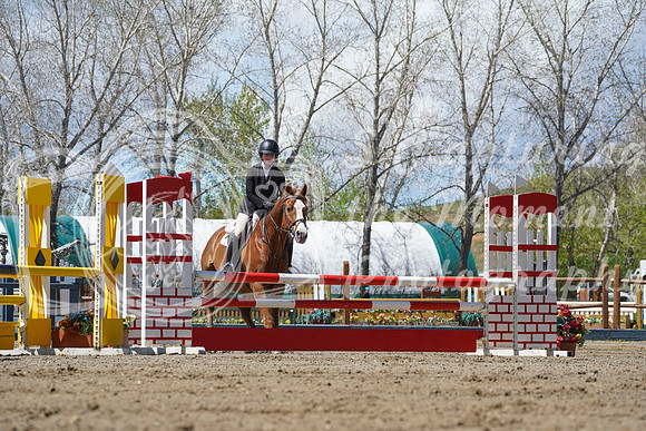 2026 - Alina - Bow Valley II - Friday May 15th - 11266