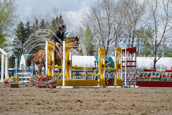 2026 - Alina - Bow Valley II - Friday May 15th - 11277