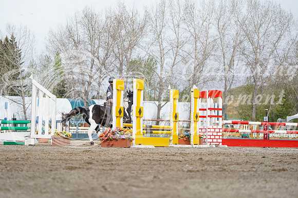 2026 - Alina - Bow Valley II - Friday May 15th - 00572