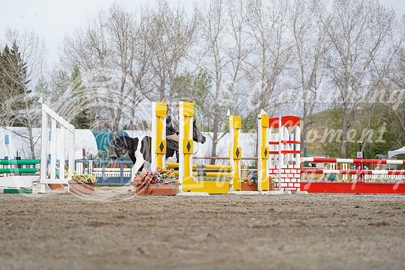 2026 - Alina - Bow Valley II - Friday May 15th - 00573