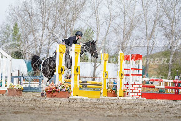 2026 - Alina - Bow Valley II - Friday May 15th - 00578
