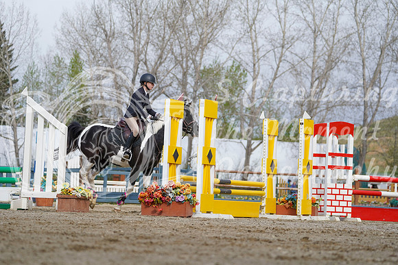 2026 - Alina - Bow Valley II - Friday May 15th - 00576