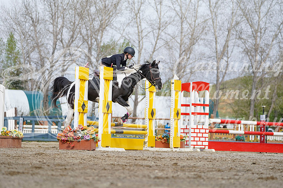 2026 - Alina - Bow Valley II - Friday May 15th - 00579