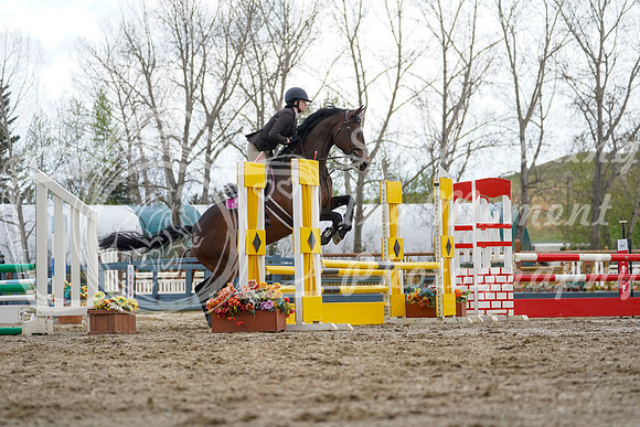 2026 - Alina - Bow Valley II - Friday May 15th - 05896