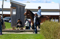 2026 - Shea - Bow Valley II - Friday May 15th - 09091