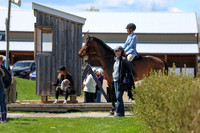 2026 - Shea - Bow Valley II - Friday May 15th - 09092