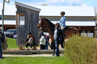 2026 - Shea - Bow Valley II - Friday May 15th - 09094