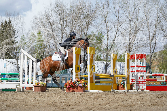 2026 - Alina - Bow Valley II - Friday May 15th - 06677