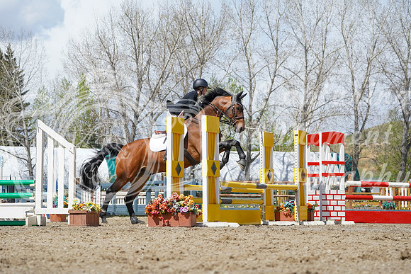 2026 - Alina - Bow Valley II - Friday May 15th - 06678