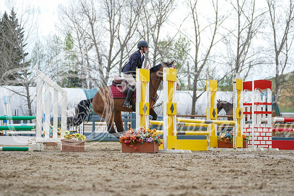 2026 - Alina - Bow Valley II - Friday May 15th - 05952