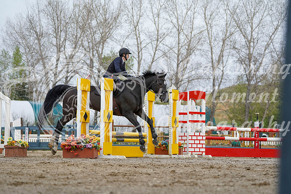 2026 - Alina - Bow Valley II - Friday May 15th - 01230