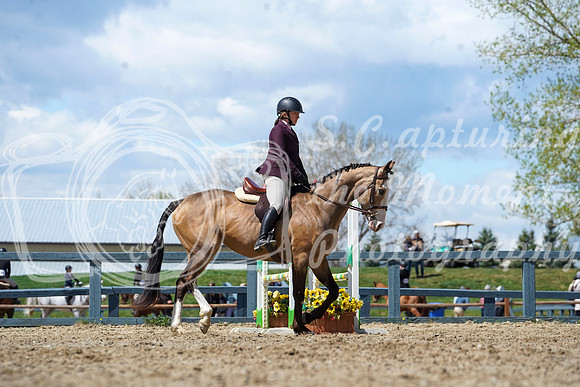 2026 - Alina - Bow Valley II - Friday May 15th - 06905
