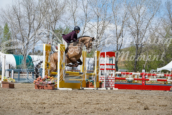 2026 - Alina - Bow Valley II - Friday May 15th - 06913