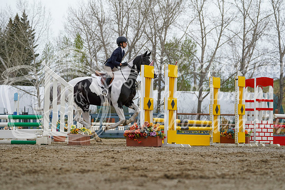 2026 - Alina - Bow Valley II - Friday May 15th - 01786