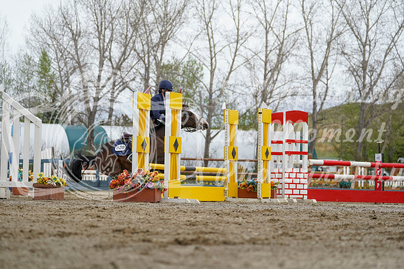 2026 - Alina - Bow Valley II - Friday May 15th - 01744
