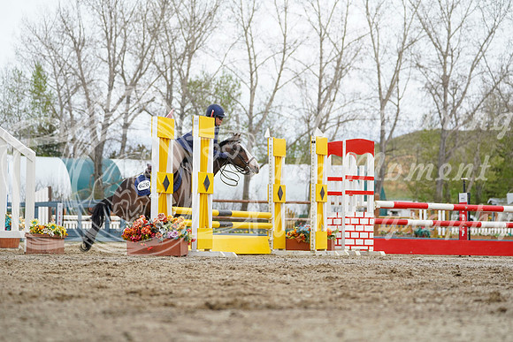 2026 - Alina - Bow Valley II - Friday May 15th - 01745
