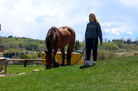 2026 - Shea - Bow Valley II - Friday May 15th - 08248
