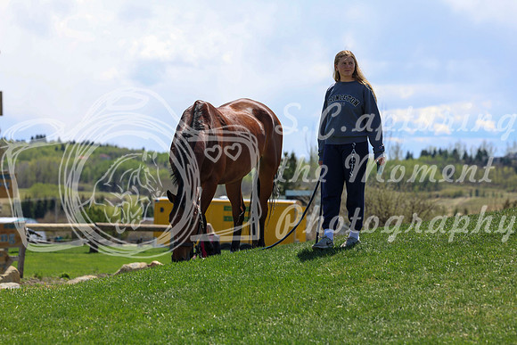 2026 - Shea - Bow Valley II - Friday May 15th - 08248