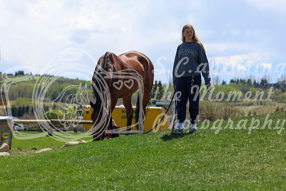 2026 - Shea - Bow Valley II - Friday May 15th - 08250