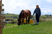 2026 - Shea - Bow Valley II - Friday May 15th - 08254