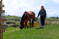 2026 - Shea - Bow Valley II - Friday May 15th - 08255
