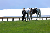 2026 - Shea - Bow Valley II - Friday May 15th - 08257