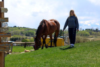 2026 - Shea - Bow Valley II - Friday May 15th - 08256